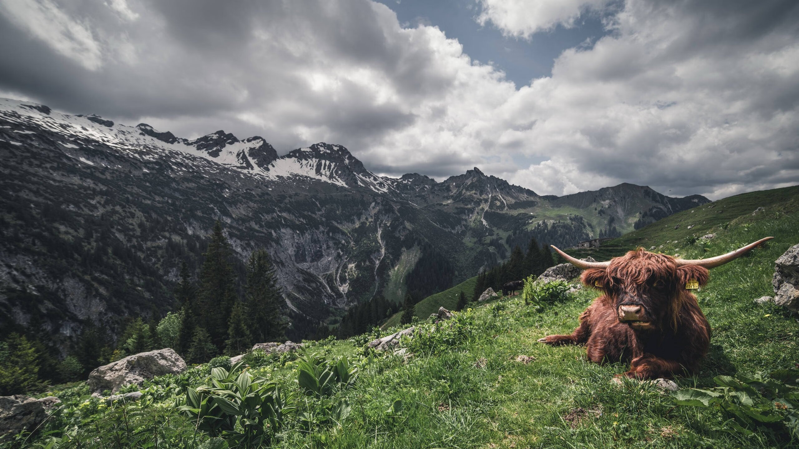 NBA中国赛或将重启,联盟高层正进行实地评估,nba中国赛时间表