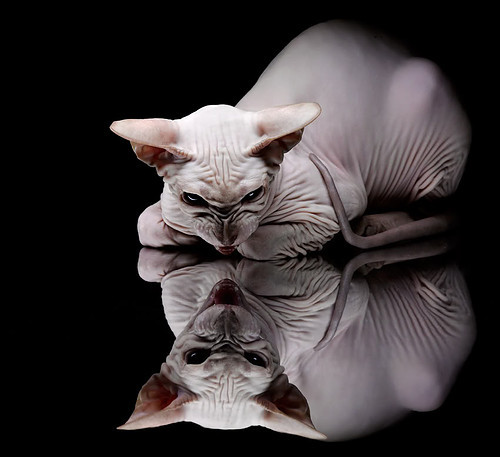 AYX体育-NBA伤病榜单更新，影响季后赛走势，nba伤病统计