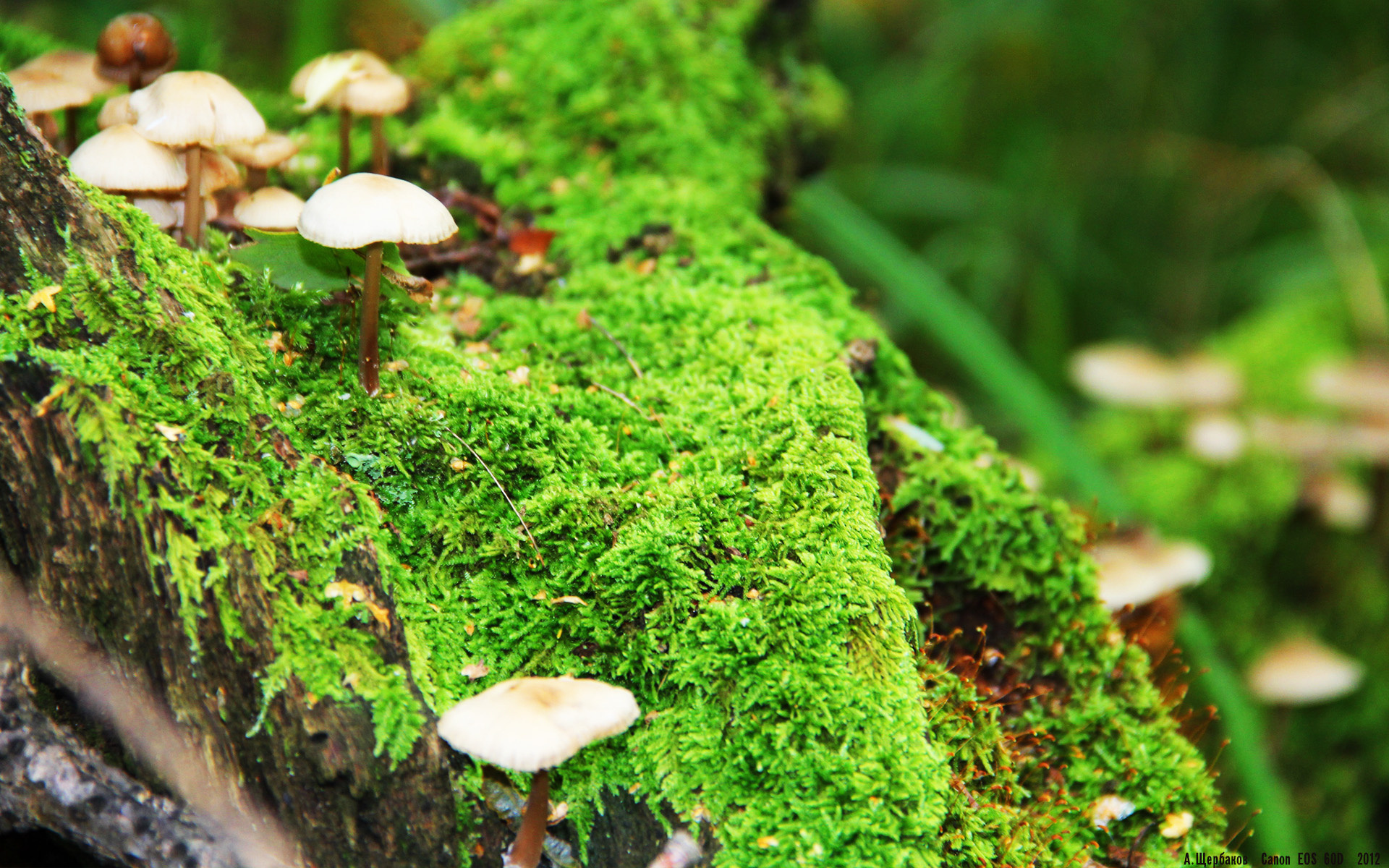 《快船管理层评估球队阵容，考虑引援补强》，快船队伍人员