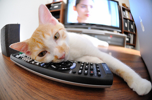 AYX体育官网-《湖人替补席表现出色，球队深度得到体现》，湖人队替补球员