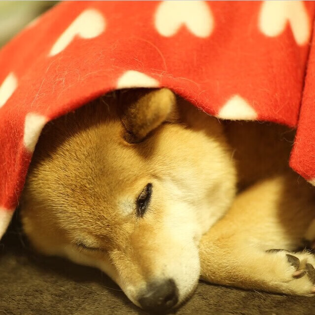 爱游戏综合娱乐-勇士外线手感火热，迅速重振士气，勇士内线