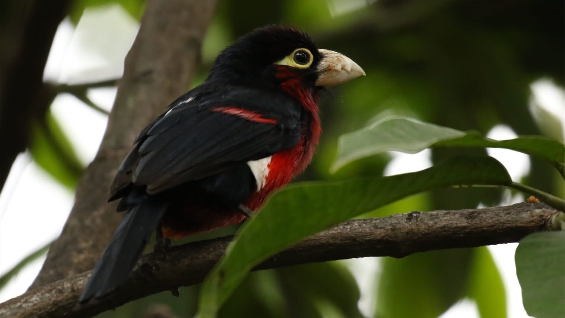 爱游戏 电竞-全国田径大奖赛解放军队包揽冠军，全国田径比赛