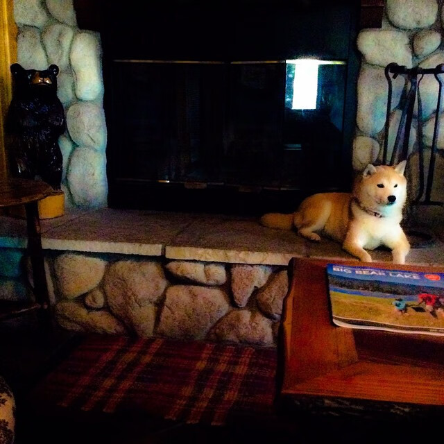 篮球运动员比赛策略智能辅助系统设计与实现，篮球运球辅助训练