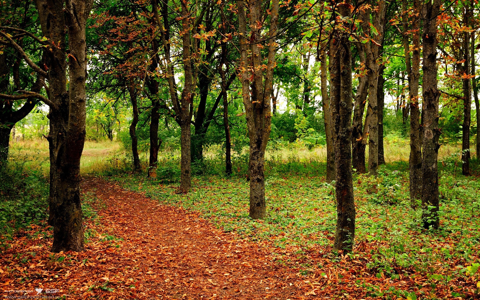 爱游戏中国官方登录入口网站-AC米兰反击效率提升场面掌控力增强，ac米兰防守反击战术