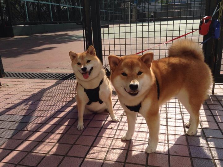 AYX SPORTS-世界杯预选赛中国青年队逆袭 球员表现突出，世界杯预选赛中国青年队逆袭 球员表现突出