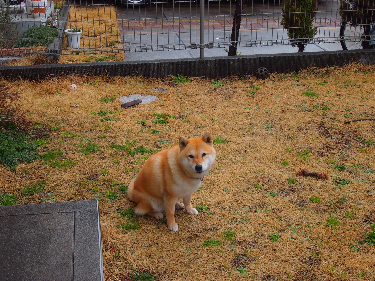 巴西队在南美预赛中保持领先,晋级几乎板上钉钉