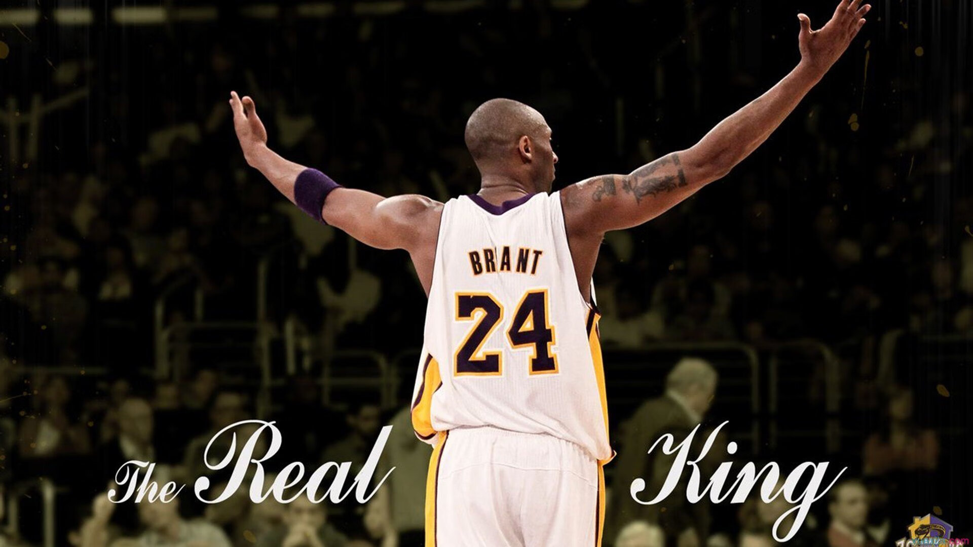 爱游戏中国-数据分析支持青训选材，发现潜力球员，训练数据分析